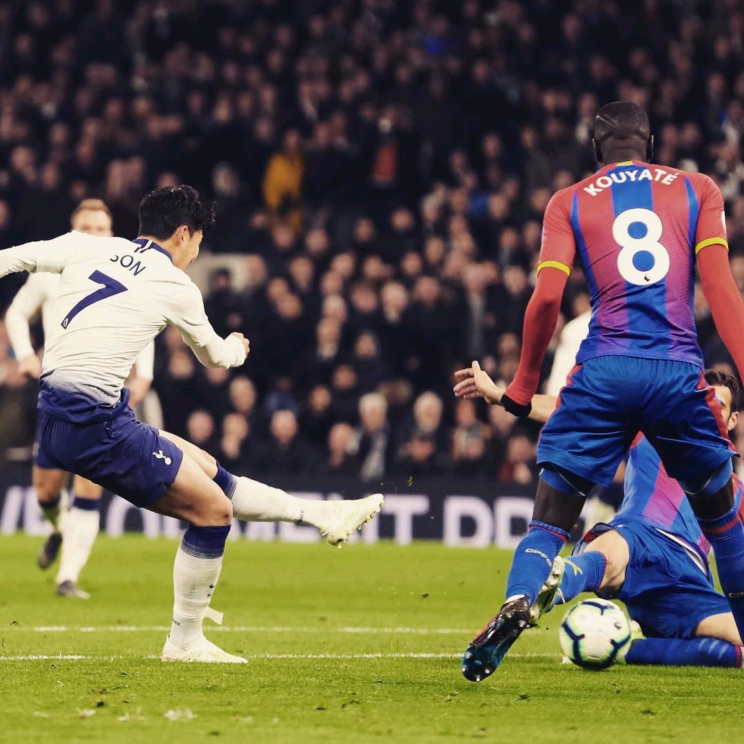 可能性确实 可能性确实