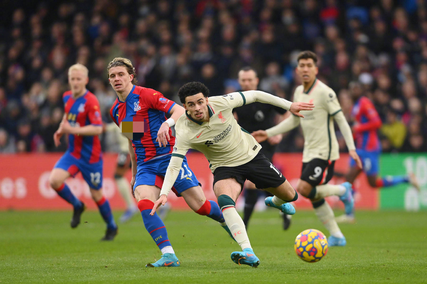 这些人更容 这些人更容